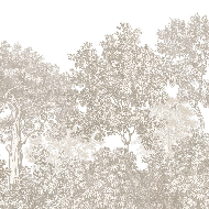 Papier peint paysage forêt gravure beige