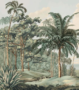 Papier peint paysage Célèbes