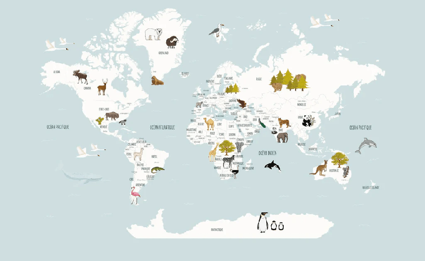 Papier peint Carte du monde en Francais enfant bleu glacier - Muralconcept