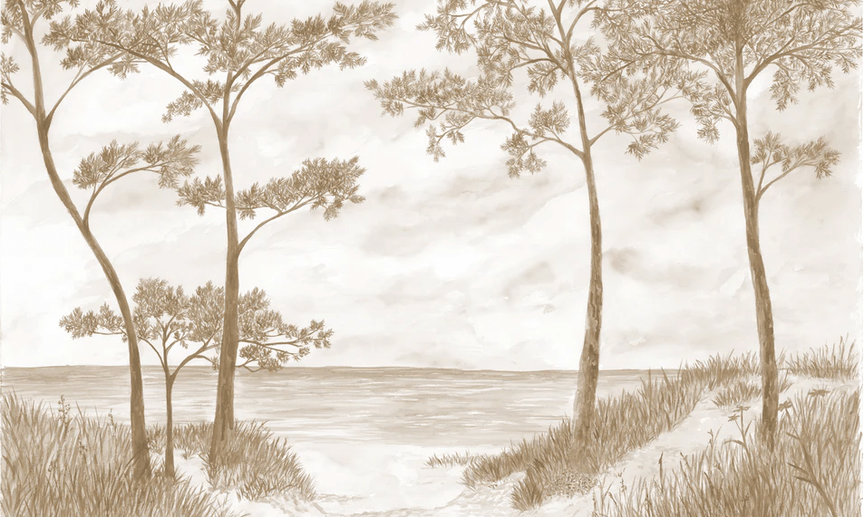 Papier peint Pins maritimes et dunes - Sépia