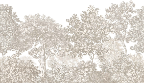 Carta da parati paesaggio foresta incisione beige