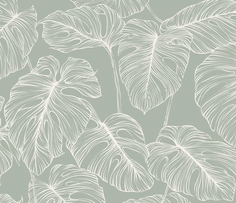 Papier peint feuille monstera sauge, XXL, tendance