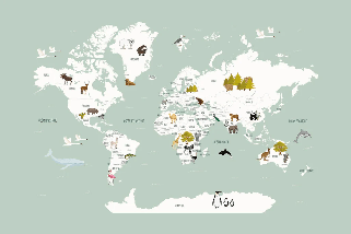 Papier peint Carte du monde en Francais enfant vert