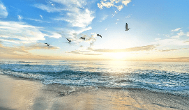 Papier peint Plage Paradisiaque