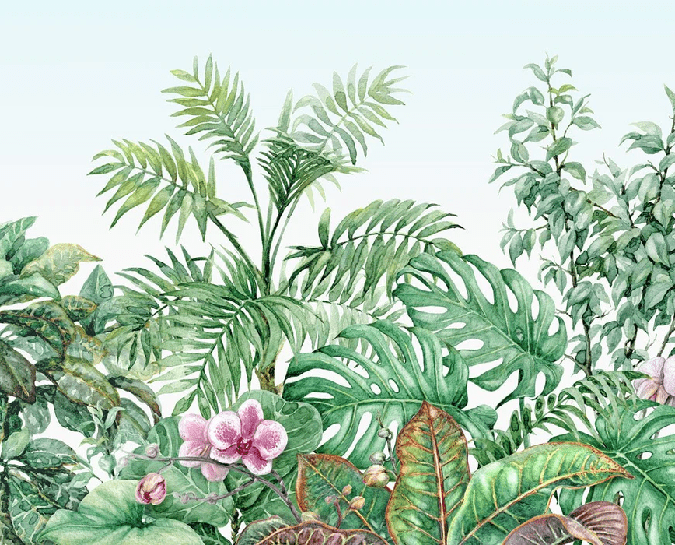 Papier peint Végétal, XXL, tendance