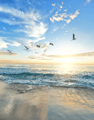 Papier peint Plage Paradisiaque - Muralconcept