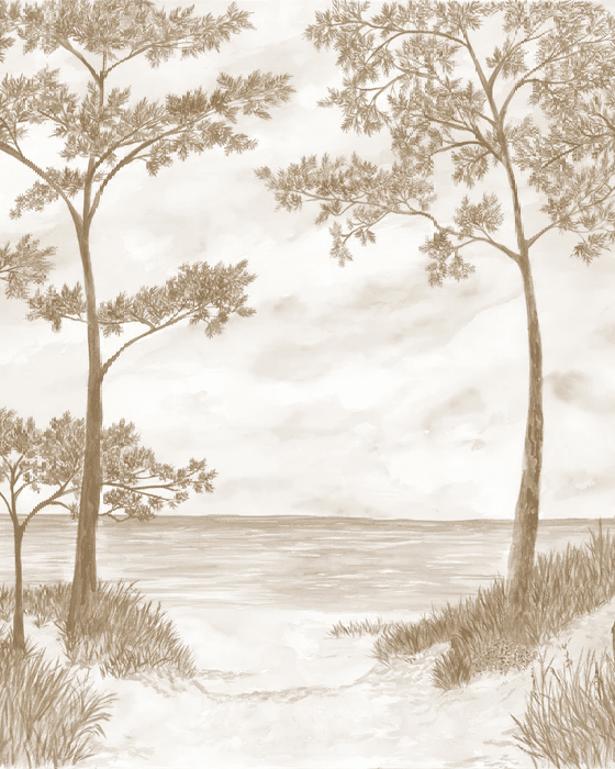 Papier peint Pins maritimes et dunes - Sépia - Muralconcept