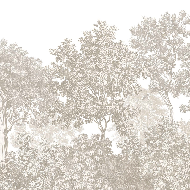 Papier peint paysage forêt gravure beige