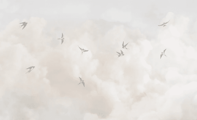 Papel pintado panorámico - Cielo atemporal - Muralconcept