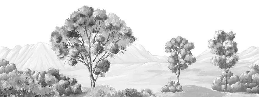 Papier peint paysage poétique noir et blanc