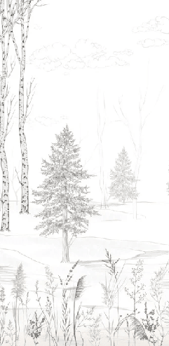 Papier peint forêt noir et blanc – Douceur des Bois - Muralconcept