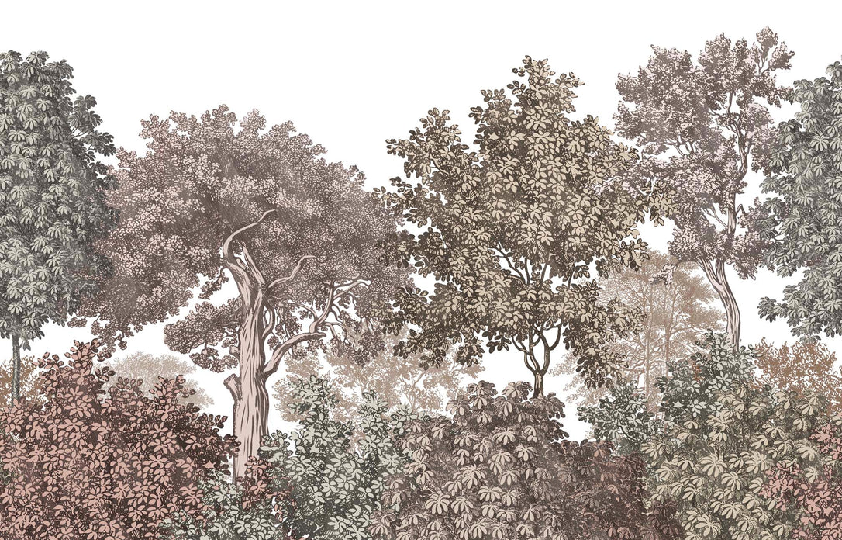Papier peint paysage forêt gravure rosé