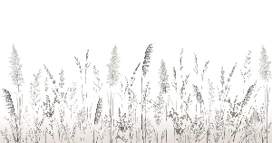 Papier peint poétique pampa, XXL, tendance