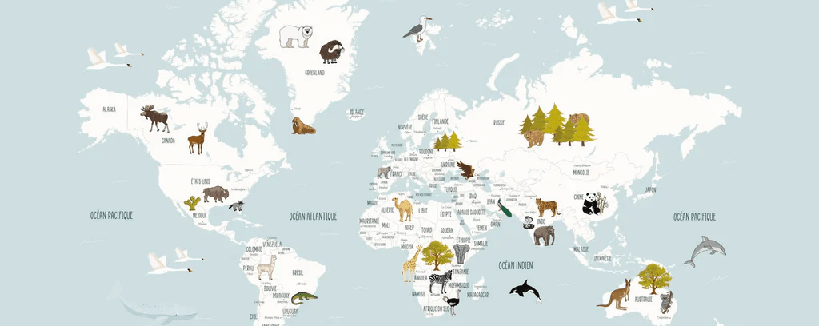 Papier peint Carte du monde en Francais enfant bleu glacier