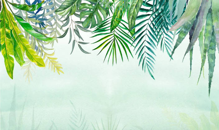Papier peint Jungle - Muralconcept