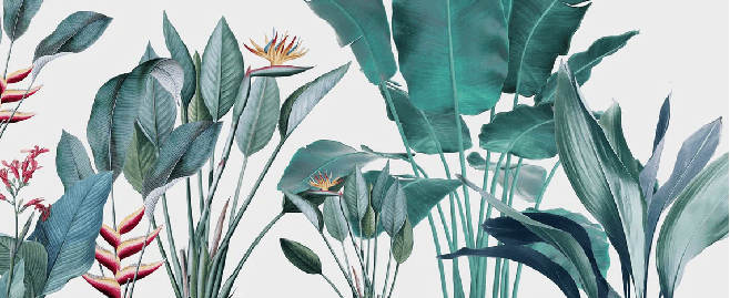 Papier peint panoramique tropical bananier, XXL, tendance