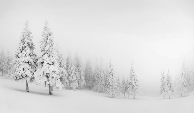 Papier peint panoramique forêt enneigée