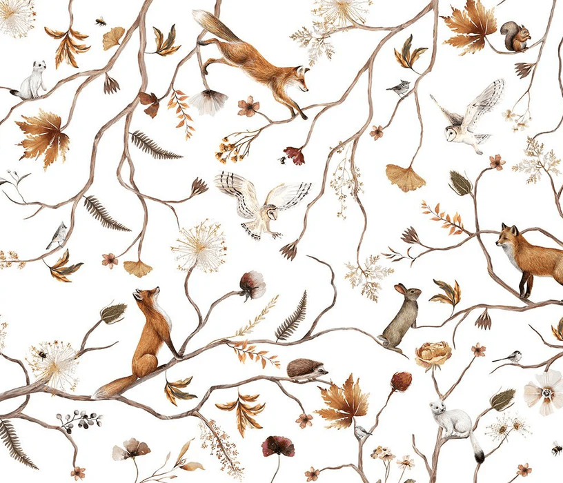 Papier peint enfant forêt aventure - Muralconcept