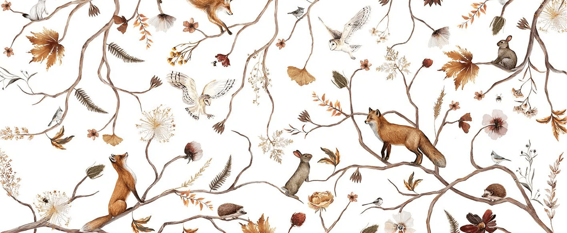 Papier peint enfant forêt aventure - Muralconcept