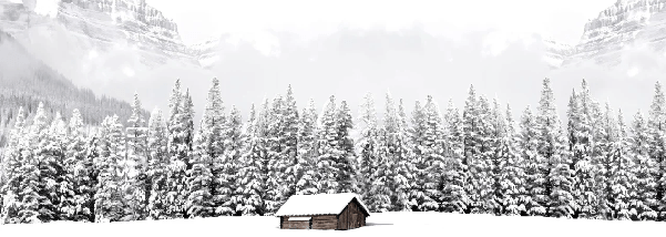 Papier peint panoramique chalet en montagne