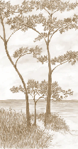Papier peint Pins maritimes et dunes - Sépia - Muralconcept