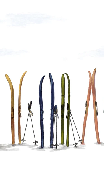 Panoramic wallpaper colorful skis