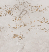 Papier peint japonisant - Brume de pins - Muralconcept