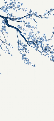 Papier peint panoramique fleur Sakura blanc - Muralconcept