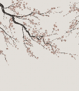 Panorama-Tapete Sakura beige - Muralconcept