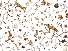 Papier peint enfant forêt aventure - Muralconcept