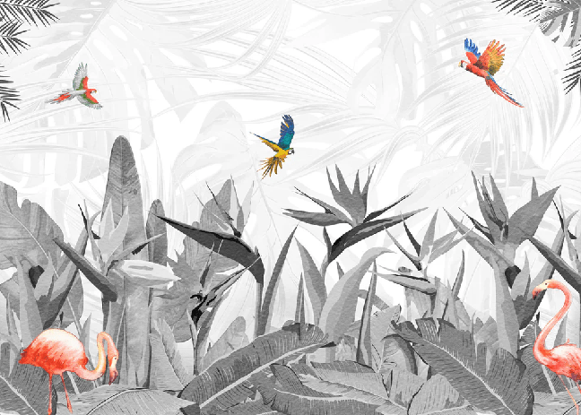 Carta da parati bianca e nera con uccello del paradiso