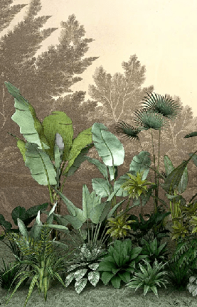 Papier peint Jungle tendance indonésia, XXL, tendance