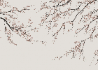 Papier peint panoramique Sakura beige
