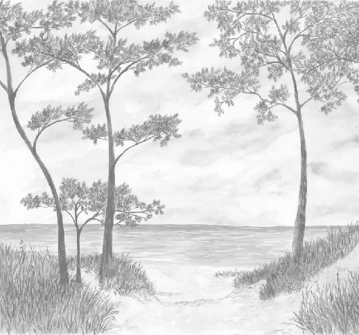 Papier peint Pins maritimes et dunes - Sépia - Muralconcept