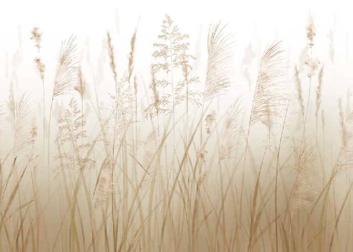 Papier peint fleur des champs de blé, XXL, tendance