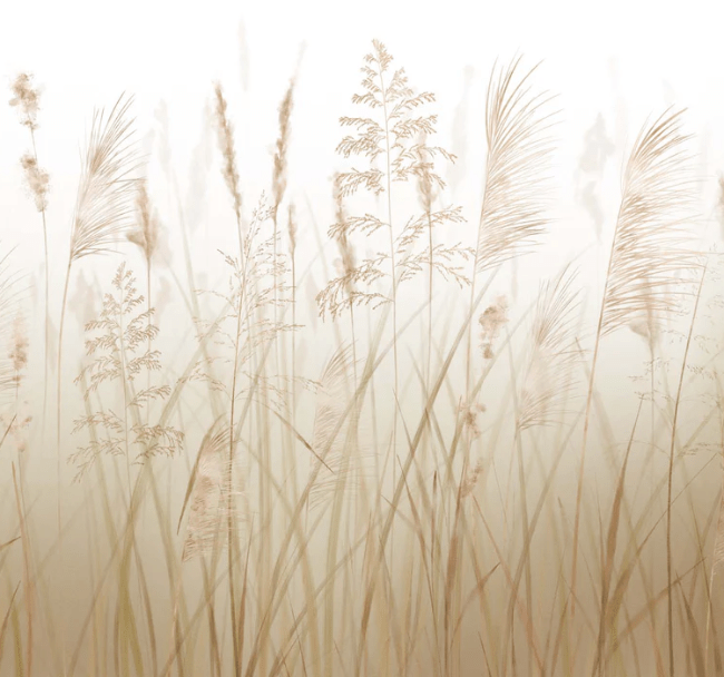 Papier peint fleur des champs de blé, XXL, tendance