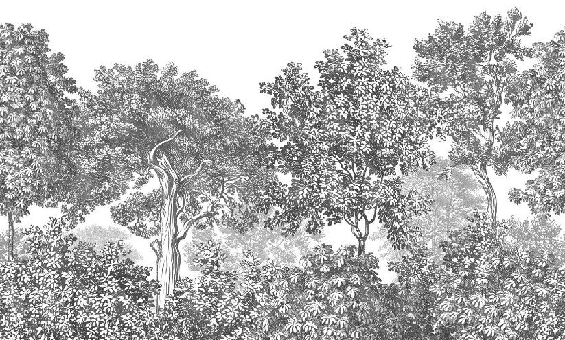 Papier peint paysage forêt gravure noir et blanc - Muralconcept
