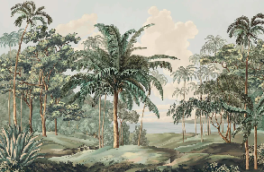 Papier peint paysage Célèbes