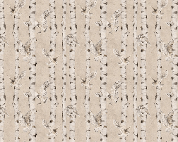 Papier peint enfant - chouettes & bouleaux - Muralconcept