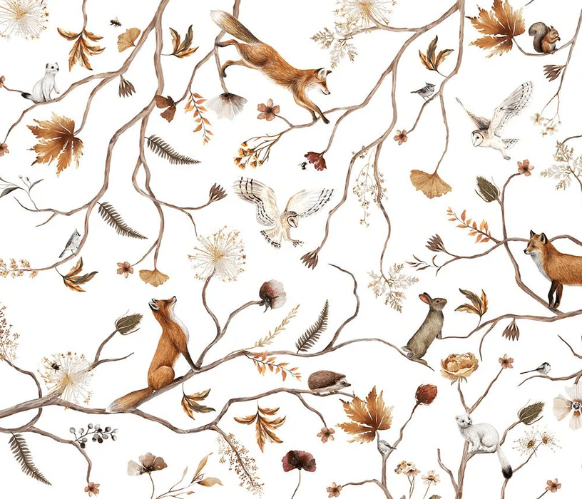 Papier peint enfant forêt aventure - Muralconcept