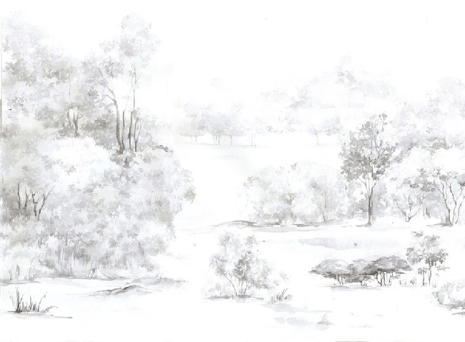 Papier peint forêt de pin aquarelle, XXL, tendance