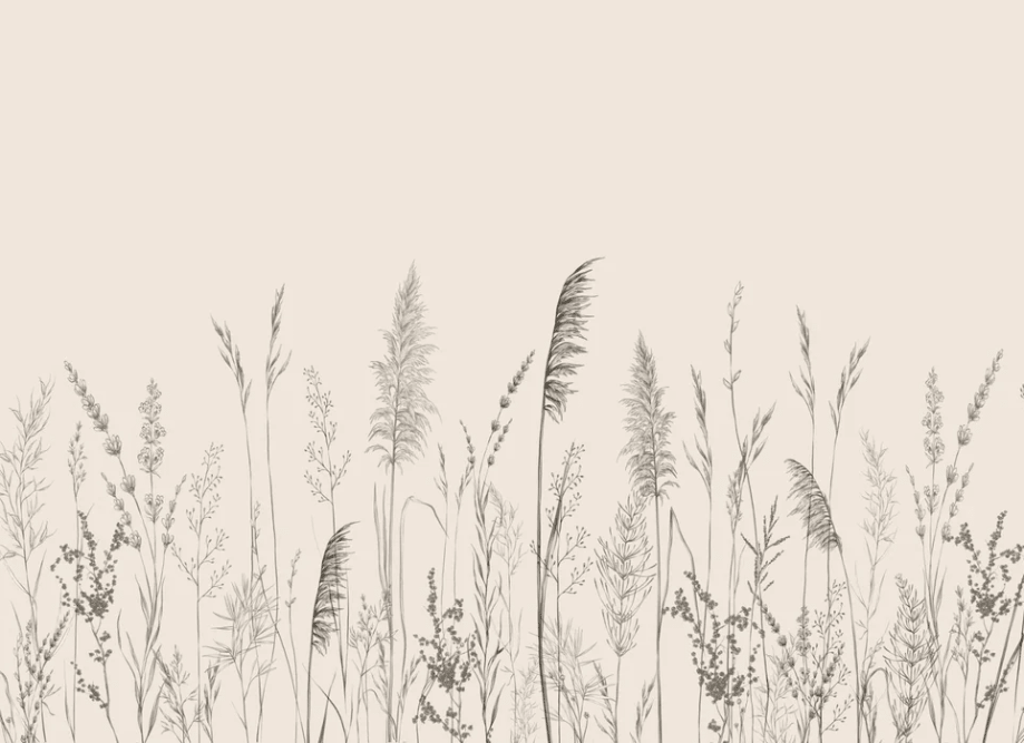 Papier peint panoramique prairie sauvage - Muralconcept