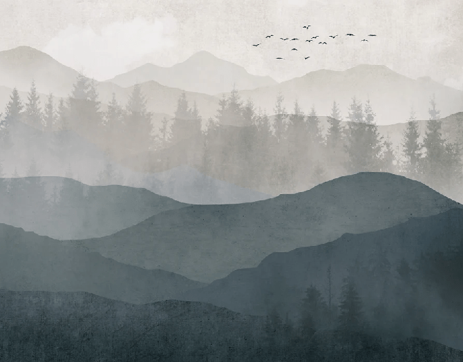 Papier peint panorama nature noir et blanc, XXL, tendance