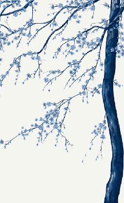 Papier peint panoramique fleur Sakura blanc
