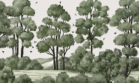 Papier peint paysage rivière forêt vert - Muralconcept