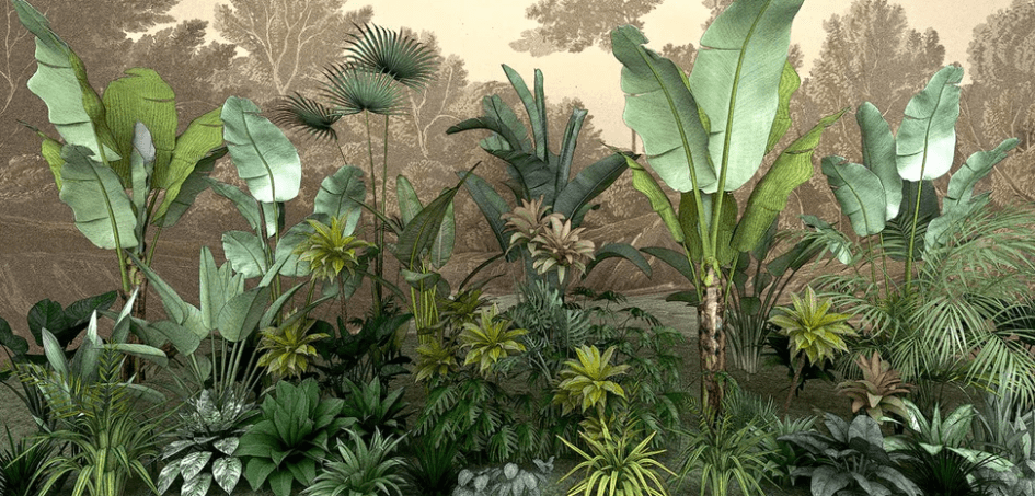 Papier peint restaurant jungle tendance indonésia - Muralconcept