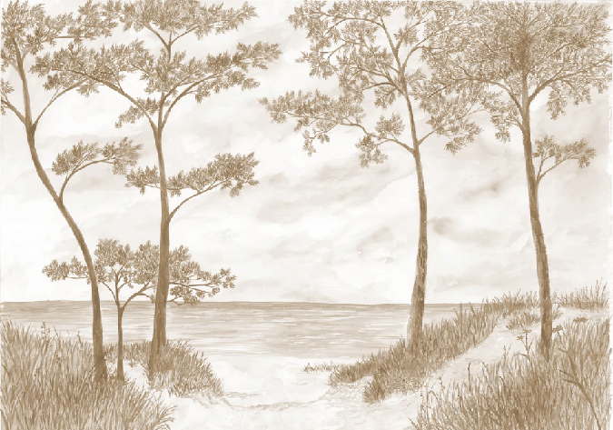 Papier peint Pins maritimes et dunes - Sépia - Muralconcept