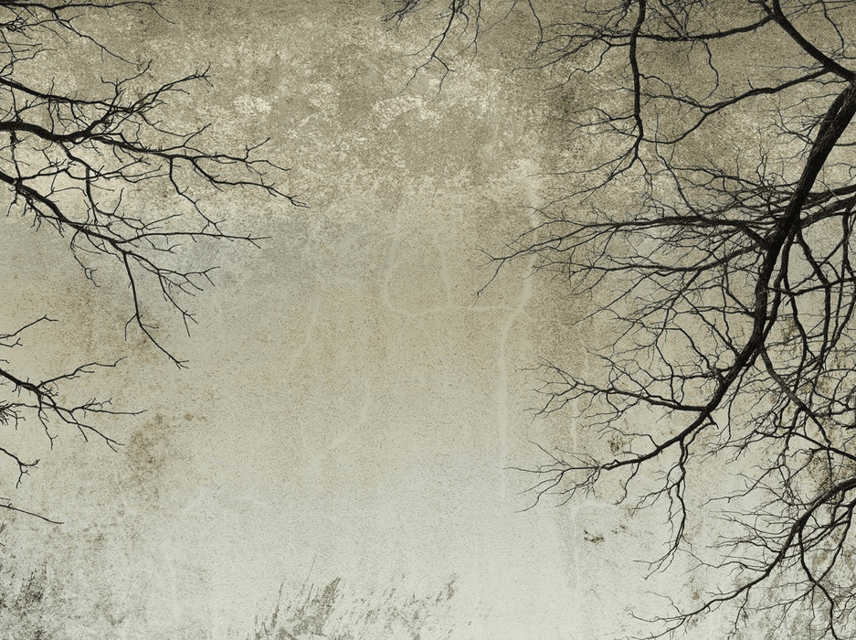 Enchanted forest wallpaper - Muralconcept