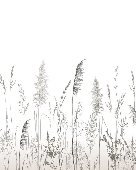 Papier peint poétique pampa