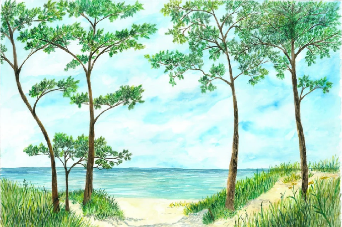 Papier peint Pins maritimes et dunes - Vert - Muralconcept